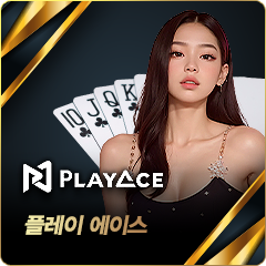 플레이 에이스