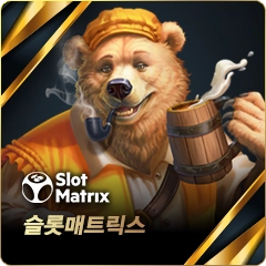 슬롯 매트릭스